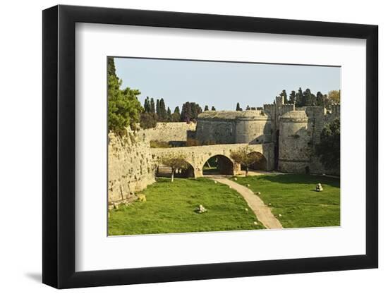 Premium Photographic Print, , large