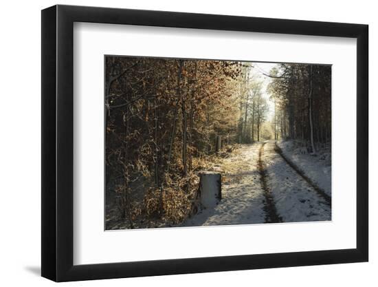 Photographic Print, , large