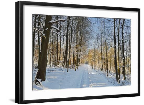 Photographic Print, , large