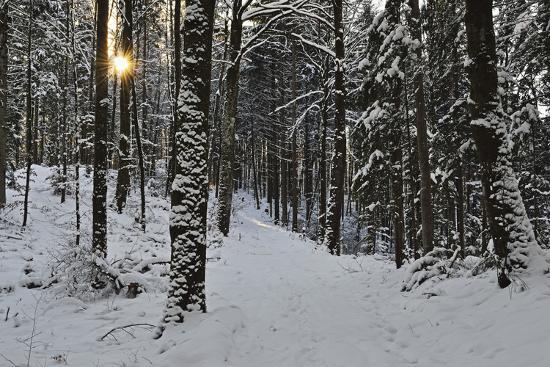 Photographic Print, , large