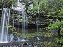 Russell Falls, Mount Field National Park, UNESCO World Heritage Site, Tasmania, Australia, Pacific-Jochen Schlenker-Photographic Print