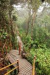 The Mossy Forest, Gunung Brinchang, Cameron Highlands, Pahang, Malaysia, Southeast Asia, Asia-Jochen Schlenker-Framed Photographic Print