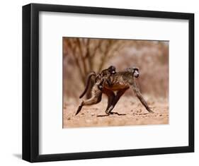 Jockey, 2019,-Eric Meyer-Framed Photographic Print