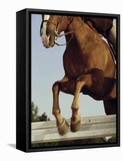 Jockey And a Horse Jumping Over a Hurdle-null-Framed Stretched Canvas