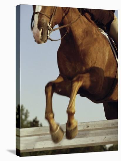 Jockey And a Horse Jumping Over a Hurdle-null-Stretched Canvas