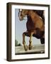 Jockey And a Horse Jumping Over a Hurdle-null-Framed Photographic Print