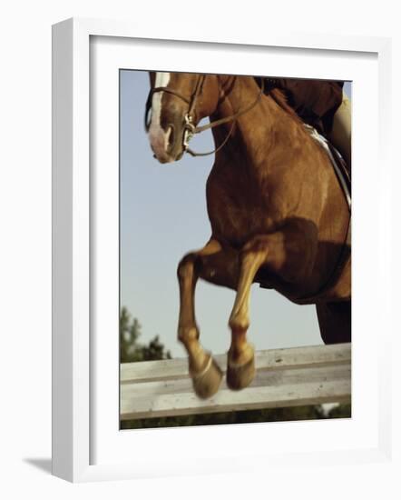 Jockey And a Horse Jumping Over a Hurdle-null-Framed Photographic Print