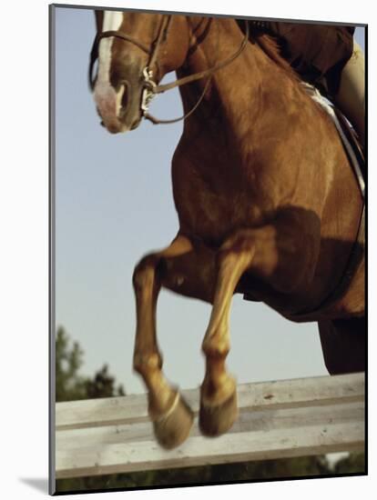 Jockey And a Horse Jumping Over a Hurdle-null-Mounted Photographic Print