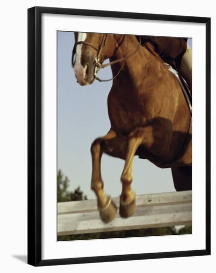 Jockey And a Horse Jumping Over a Hurdle-null-Framed Photographic Print