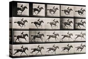 Jockey on a Galloping Horse, Plate 627 from "Animal Locomotion," 1887-Eadweard Muybridge-Stretched Canvas