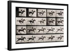 Jockey on a Galloping Horse, Plate 627 from "Animal Locomotion," 1887-Eadweard Muybridge-Framed Giclee Print