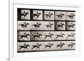 Jockey on a Galloping Horse, Plate 627 from "Animal Locomotion," 1887-Eadweard Muybridge-Framed Giclee Print