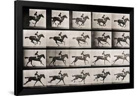 Jockey on a Galloping Horse, Plate 627 from "Animal Locomotion," 1887-Eadweard Muybridge-Framed Giclee Print