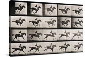 Jockey on a Galloping Horse, Plate 627 from "Animal Locomotion," 1887-Eadweard Muybridge-Stretched Canvas