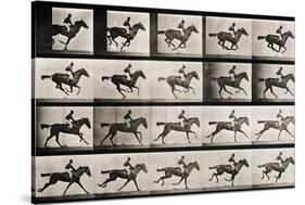 Jockey on a Galloping Horse, Plate 627 from "Animal Locomotion," 1887-Eadweard Muybridge-Stretched Canvas