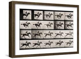 Jockey on a Galloping Horse, Plate 627 from "Animal Locomotion," 1887-Eadweard Muybridge-Framed Giclee Print