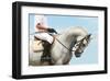 Jockey Riding Dressage Horse-null-Framed Art Print