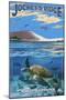 Jockey's Ridge State Park, North Carolina - Ridge and Underwater View-Lantern Press-Mounted Art Print