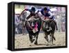 Jockeys Race in the 133 Rd Annual Traditional Water Buffalo Race in Chonburi Province, Thailand-null-Framed Stretched Canvas