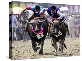 Jockeys Race in the 133 Rd Annual Traditional Water Buffalo Race in Chonburi Province, Thailand-null-Stretched Canvas