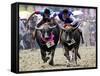 Jockeys Race in the 133 Rd Annual Traditional Water Buffalo Race in Chonburi Province, Thailand-null-Framed Stretched Canvas