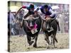 Jockeys Race in the 133 Rd Annual Traditional Water Buffalo Race in Chonburi Province, Thailand-null-Stretched Canvas