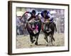 Jockeys Race in the 133 Rd Annual Traditional Water Buffalo Race in Chonburi Province, Thailand-null-Framed Photographic Print