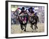 Jockeys Race in the 133 Rd Annual Traditional Water Buffalo Race in Chonburi Province, Thailand-null-Framed Photographic Print