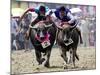 Jockeys Race in the 133 Rd Annual Traditional Water Buffalo Race in Chonburi Province, Thailand-null-Mounted Photographic Print