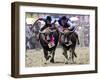 Jockeys Race in the 133 Rd Annual Traditional Water Buffalo Race in Chonburi Province, Thailand-null-Framed Photographic Print