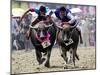 Jockeys Race in the 133 Rd Annual Traditional Water Buffalo Race in Chonburi Province, Thailand-null-Mounted Photographic Print