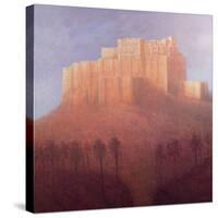 Jodhpur Fort-Lincoln Seligman-Stretched Canvas