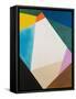 Framed Canvas