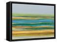 Framed Canvas