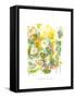 Framed Canvas