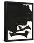 Essential Black