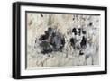 Black Frame
