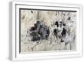 White Frame