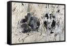 Canvas Black