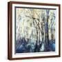 Brown Frame