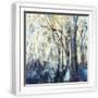 White Frame
