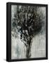 Essential Black
