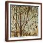 Brown Frame