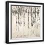Black Frame
