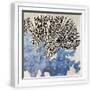 White Frame