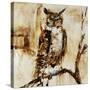 Stretched Canvas