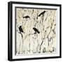 Black Frame