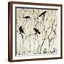 Brown Frame