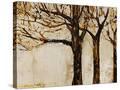 Stretched Canvas