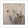 Gallery Pops White Frame